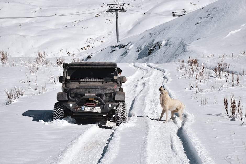 Off-road jeep with a dog on a snowy mountain trail under a bright winter sky.