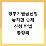 정부지원금신청 놓치면 손해 신청 방법 총정리