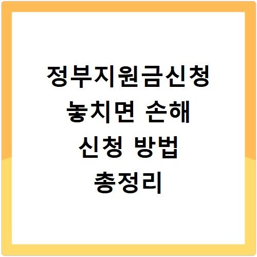 정부지원금신청 놓치면 손해 신청 방법 총정리