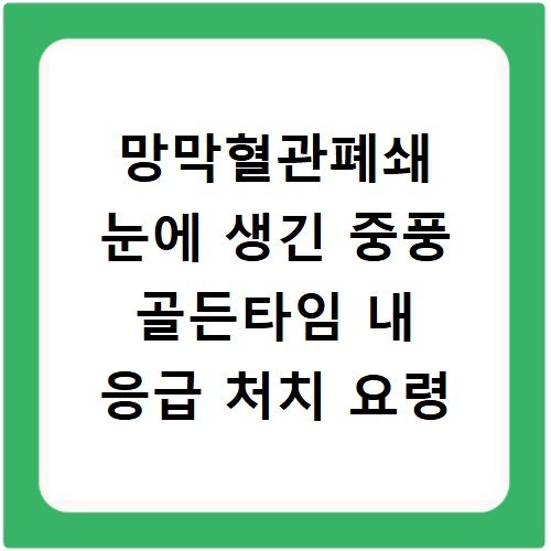 망막혈관폐쇄 눈에 생긴 중풍 골든타임 내 응급 처치 요령